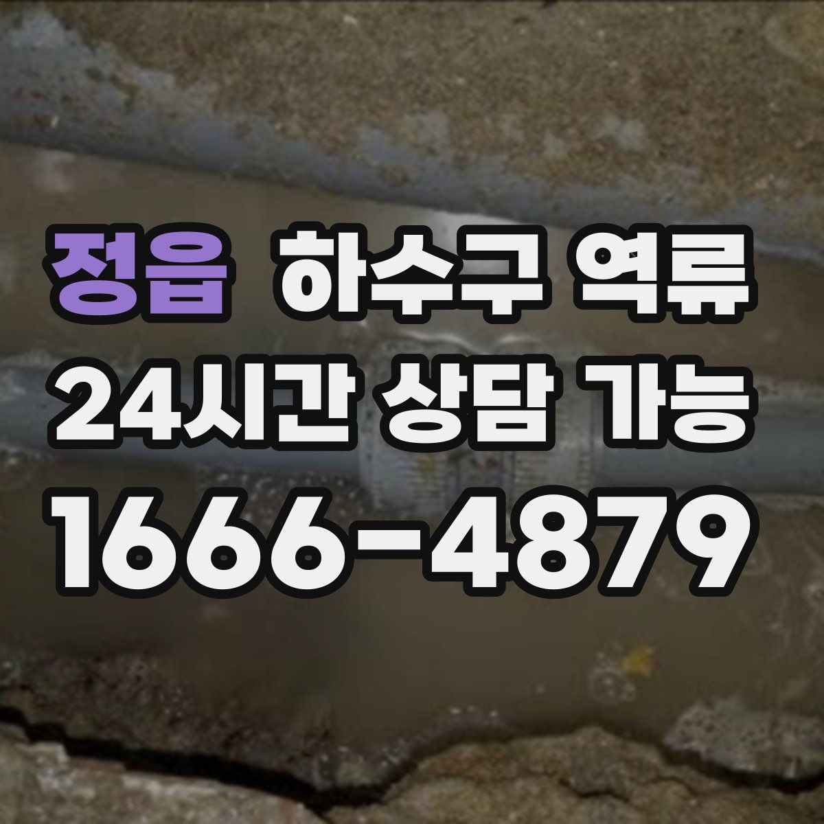 정읍 하수구 역류