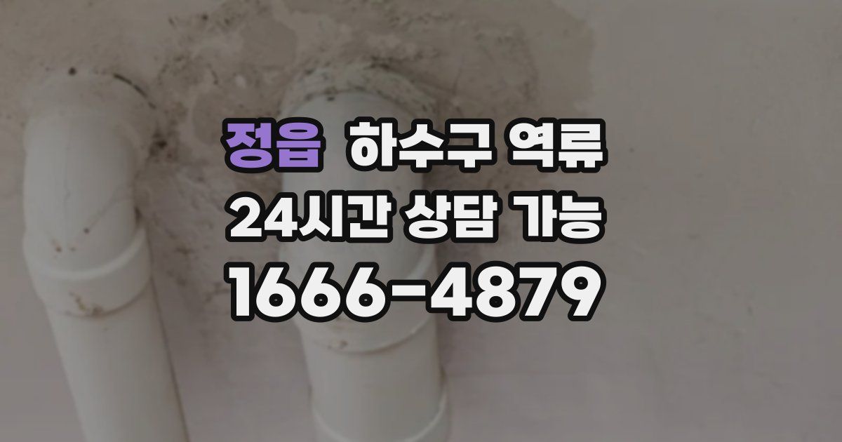 정읍 하수구 역류