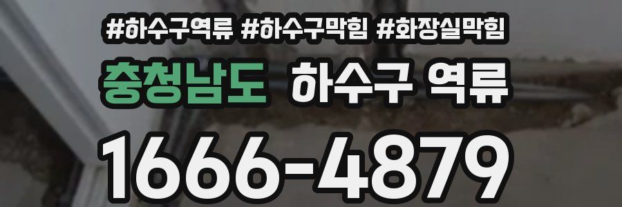 충청남도 하수구 역류