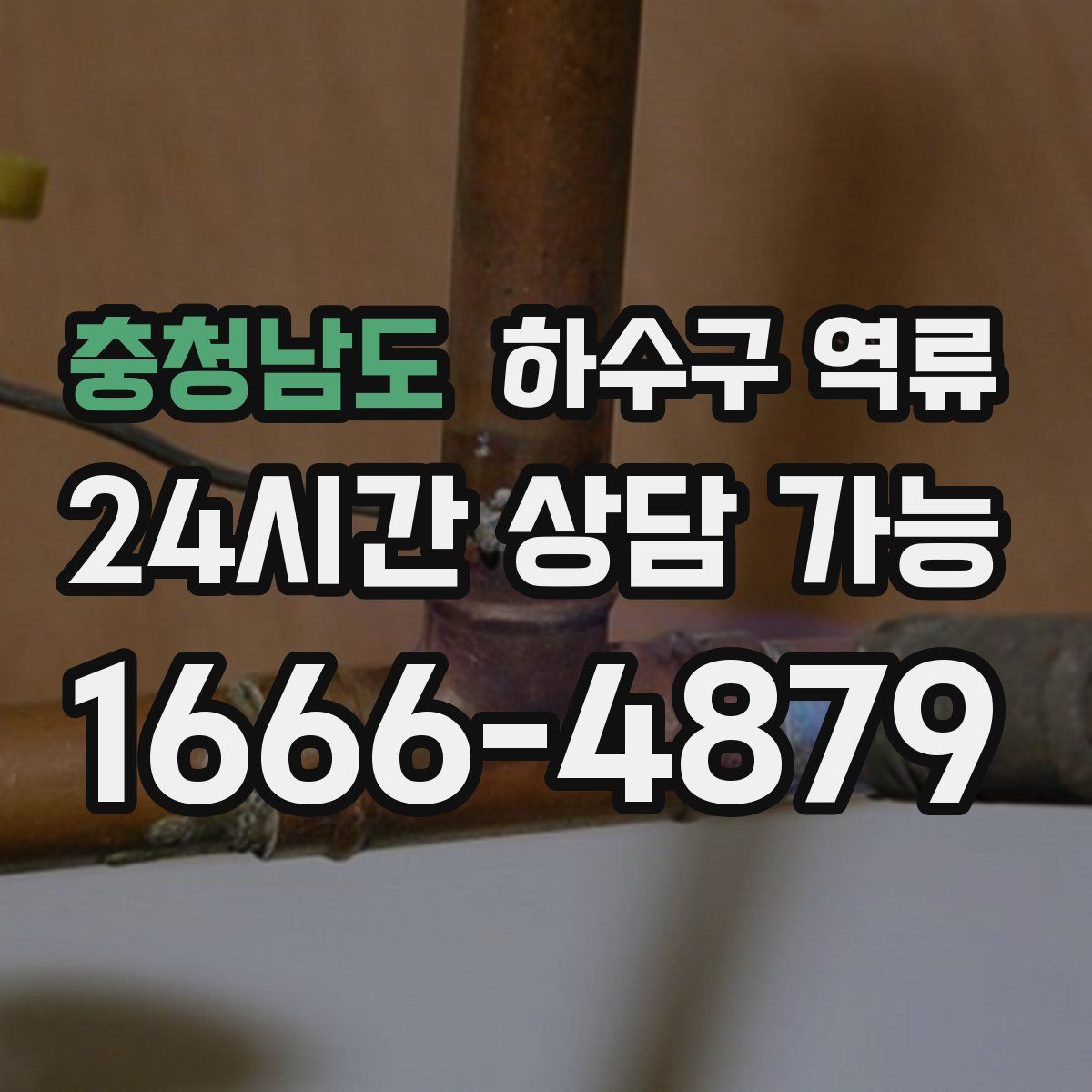 충청남도 하수구 역류