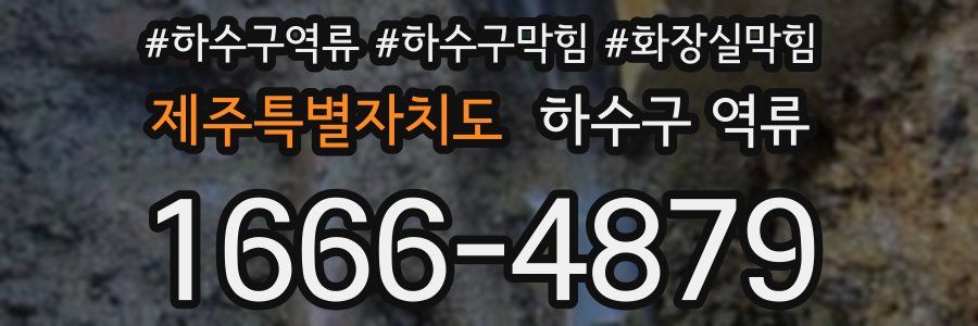 제주특별자치도 하수구 역류