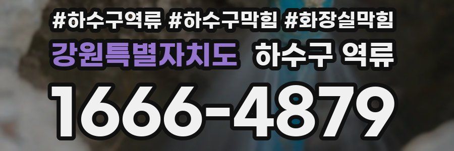 강원특별자치도 하수구 역류