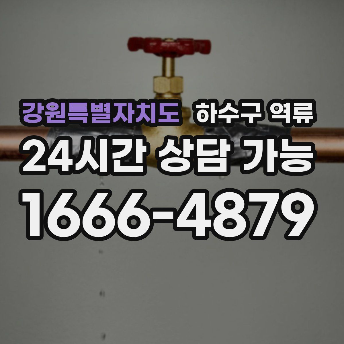 강원특별자치도 하수구 역류