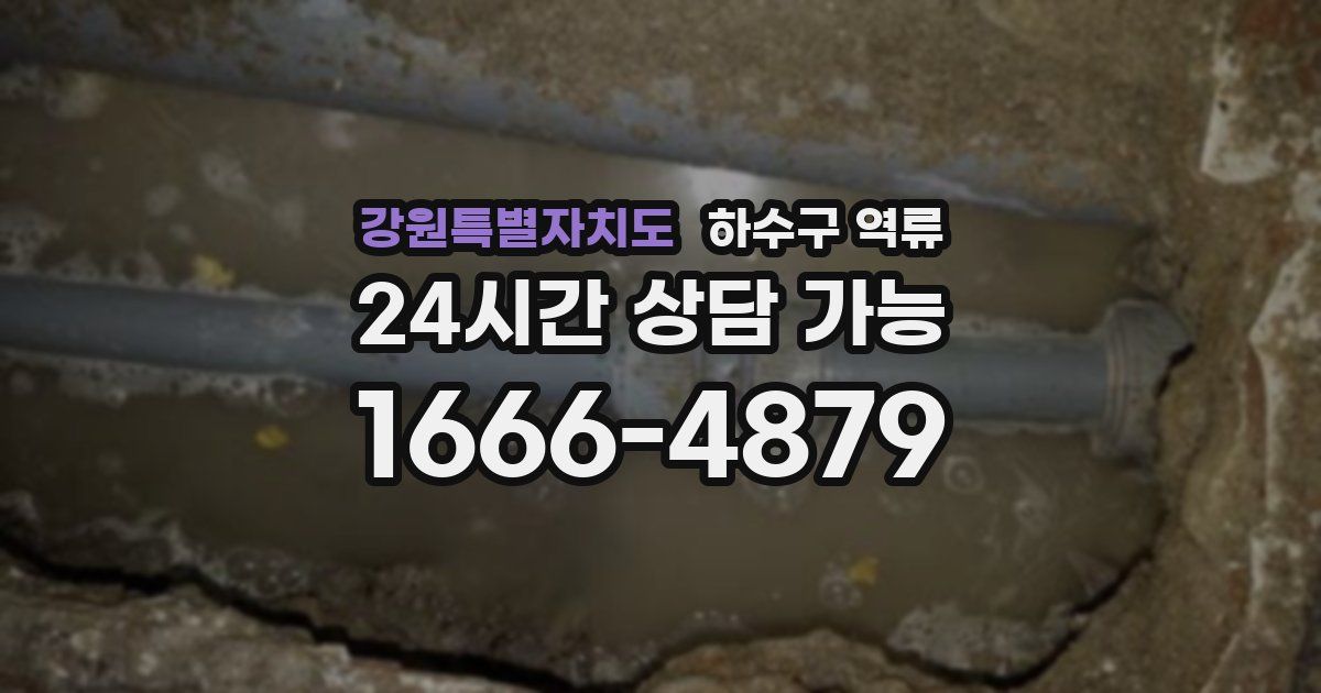 강원특별자치도 하수구 역류