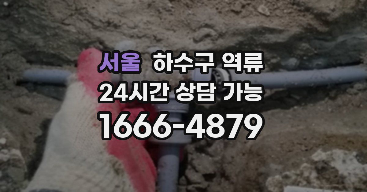 서울 하수구 역류