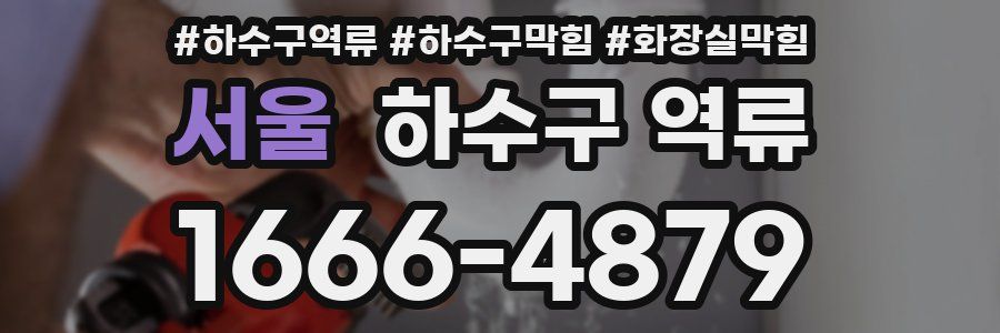 서울 하수구 역류