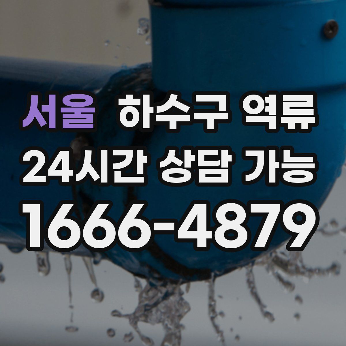 서울 하수구 역류