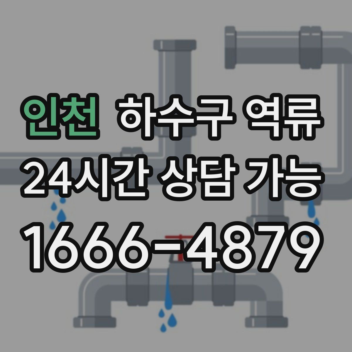 인천 하수구 역류 샤워 중 물이 차오르기 시작하면 대처 순서