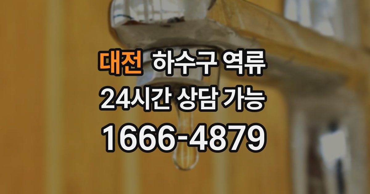 대전 하수구 역류