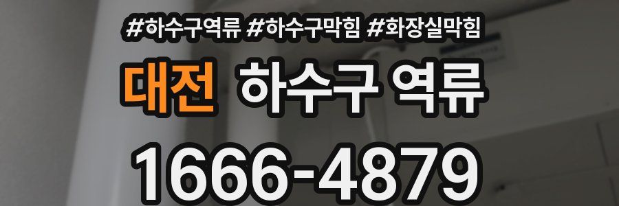 대전 하수구 역류