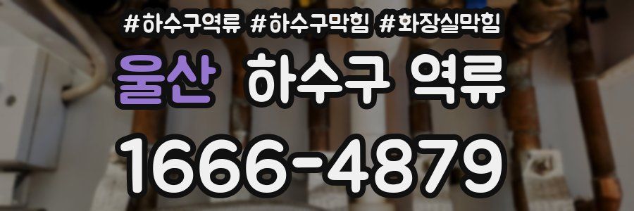 울산 하수구 역류