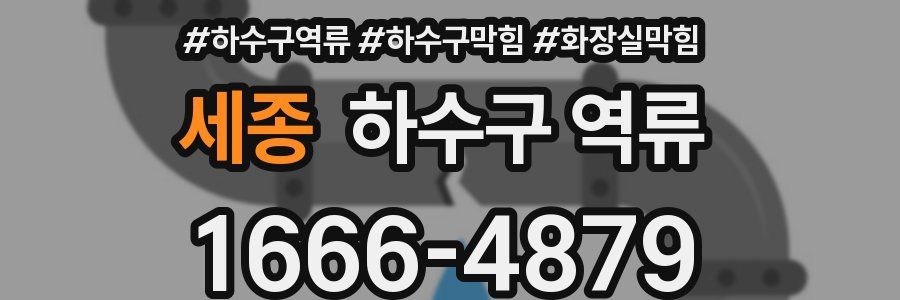 세종 하수구 역류