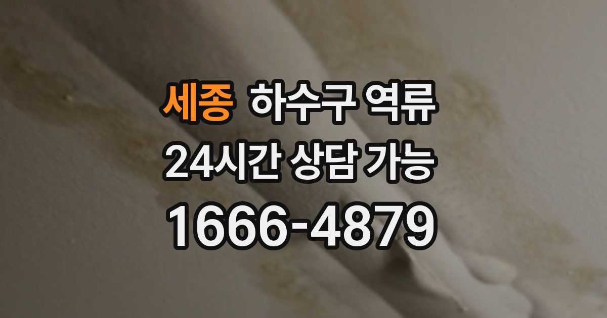 세종 하수구 역류