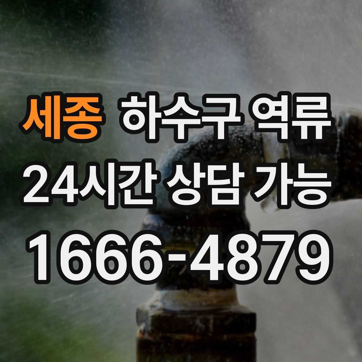 세종 하수구 역류