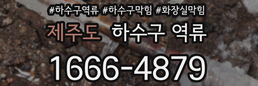 제주도 하수구 역류