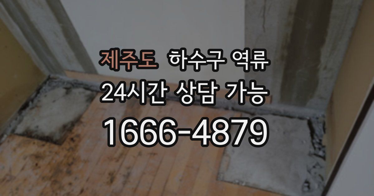 제주도 하수구 역류