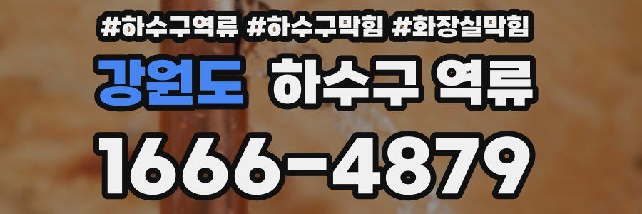 강원도 하수구 역류