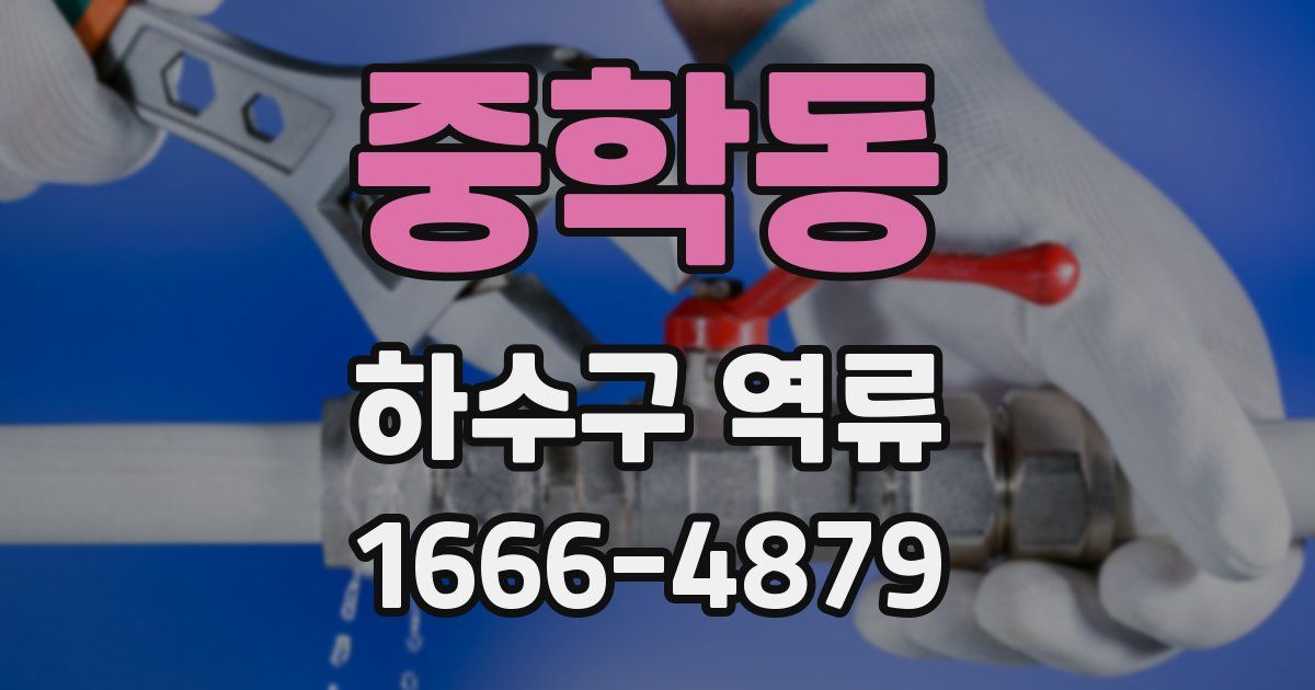 중학동 하수구 역류