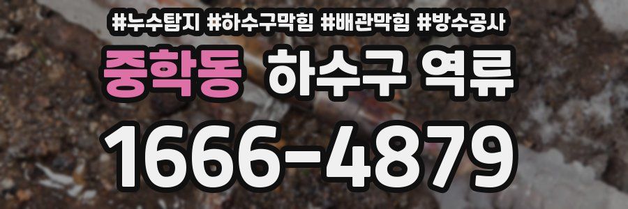중학동 하수구 역류