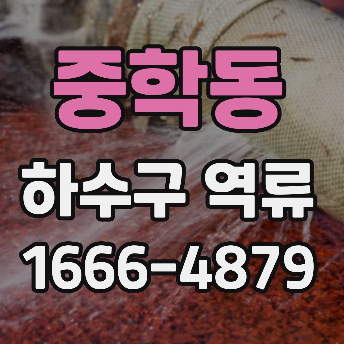 중학동 하수구 역류