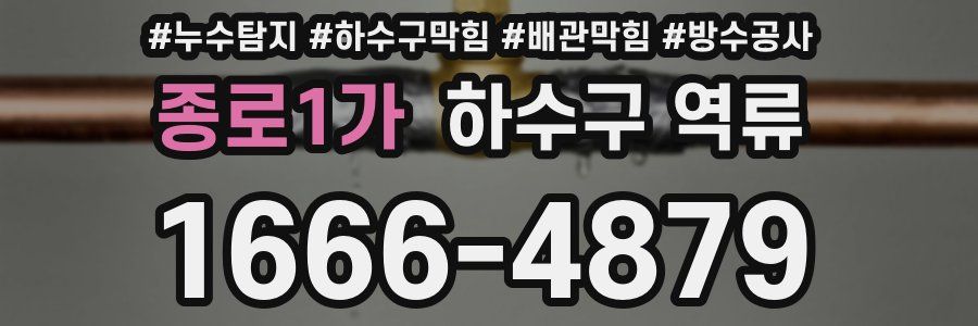종로1가 하수구 역류