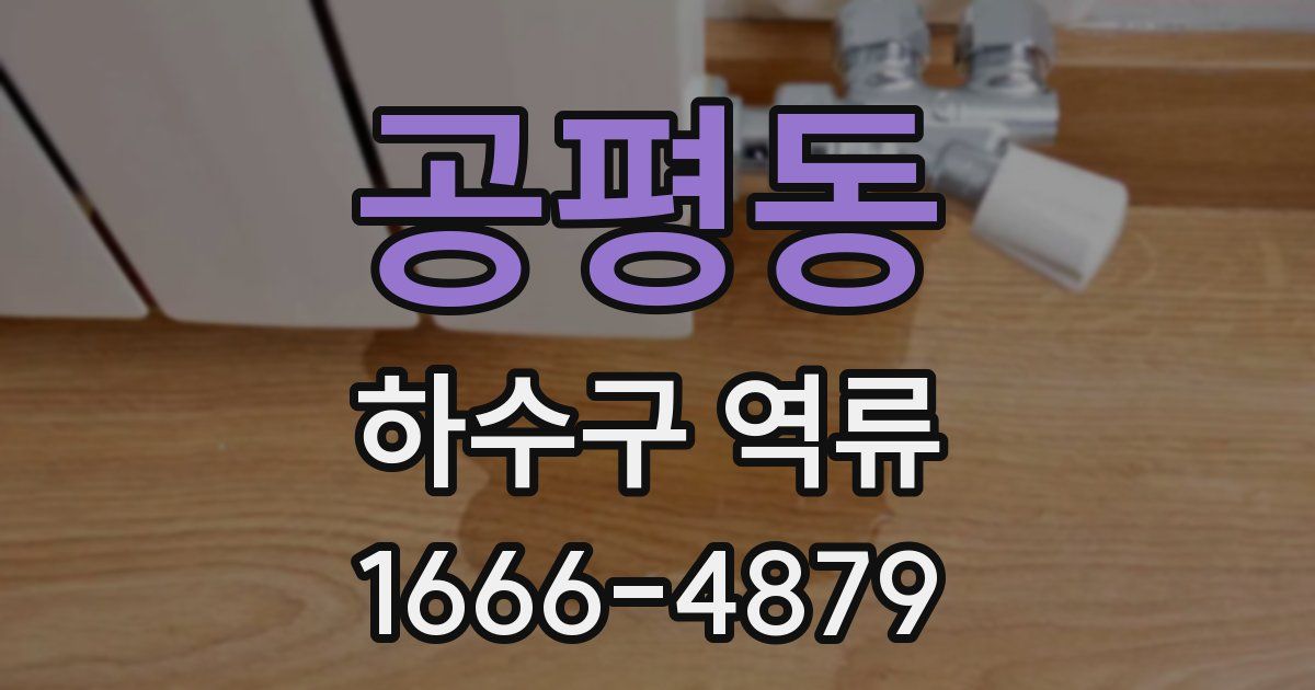 공평동 하수구 역류
