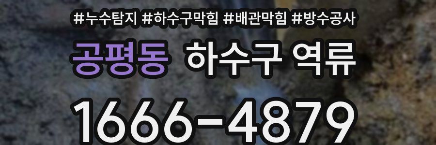 공평동 하수구 역류
