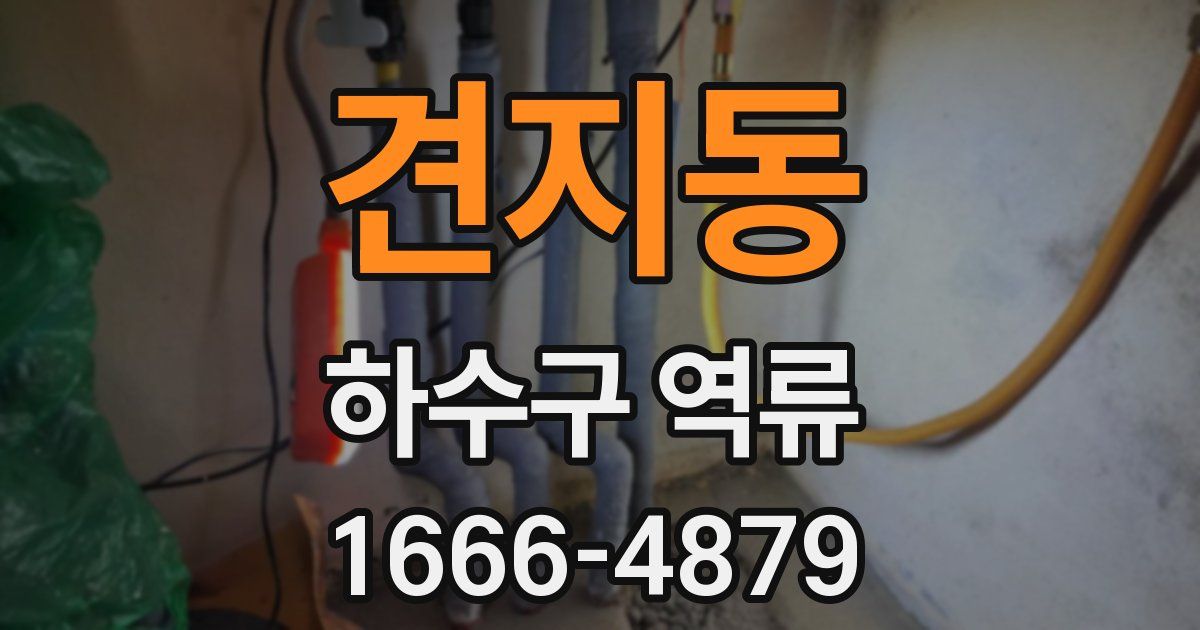 견지동 하수구 역류