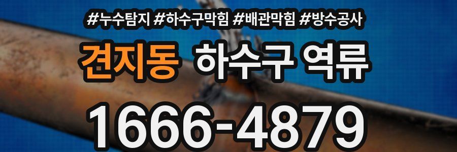 견지동 하수구 역류