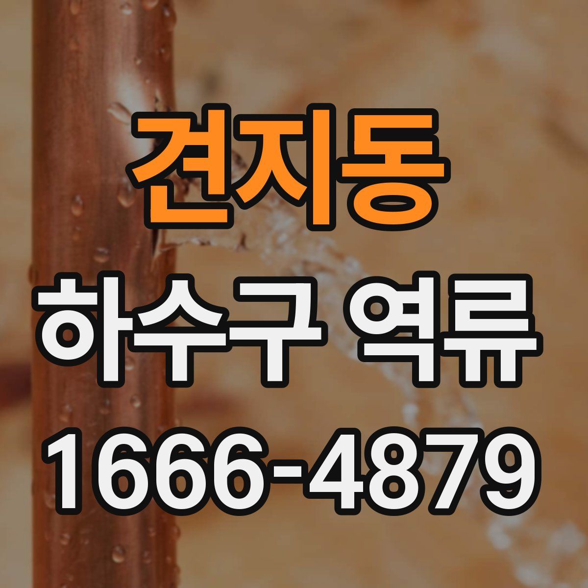견지동 하수구 역류