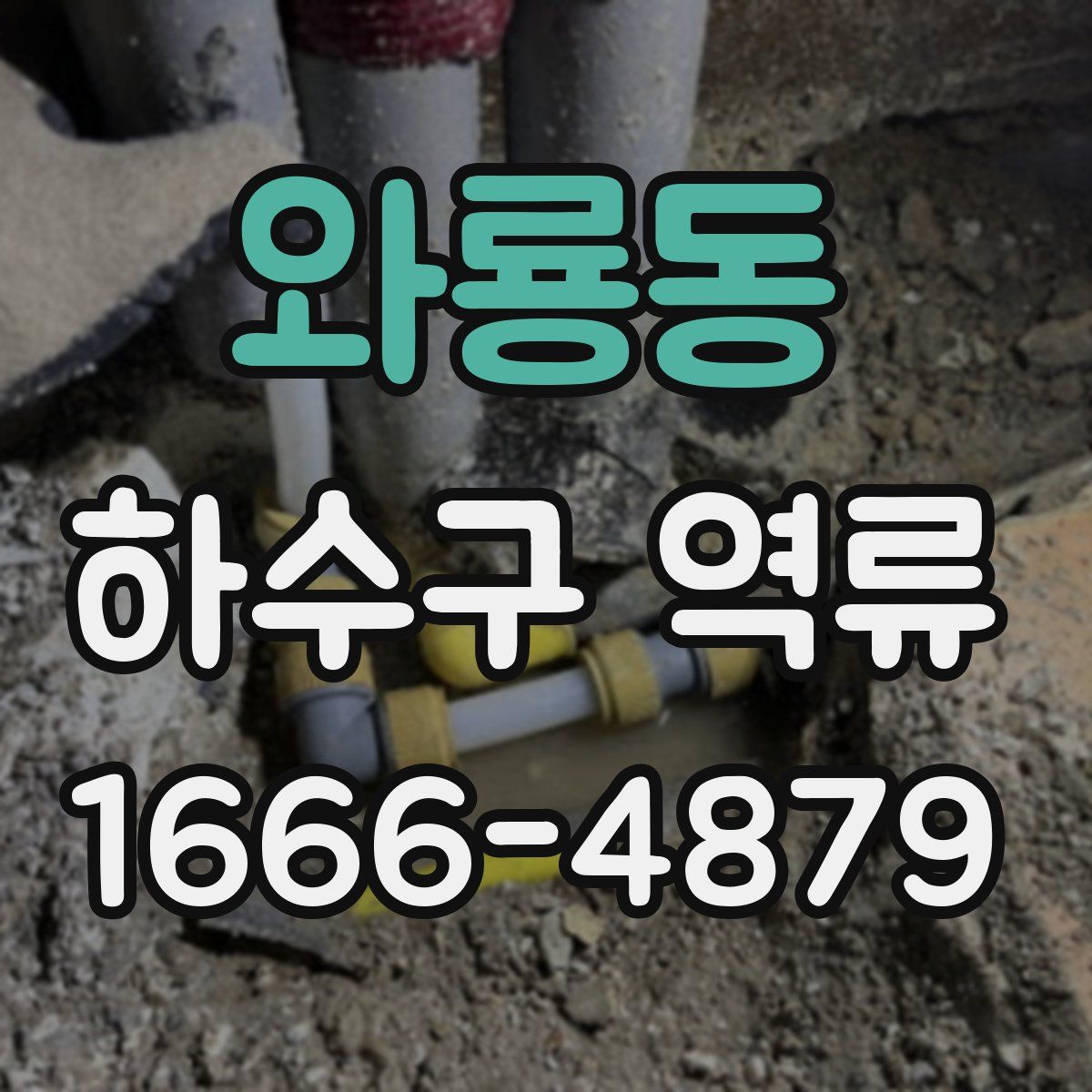와룡동 하수구 역류