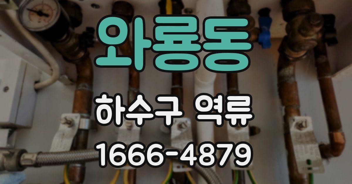 와룡동 하수구 역류