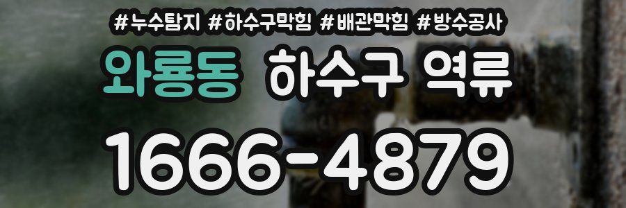 와룡동 하수구 역류