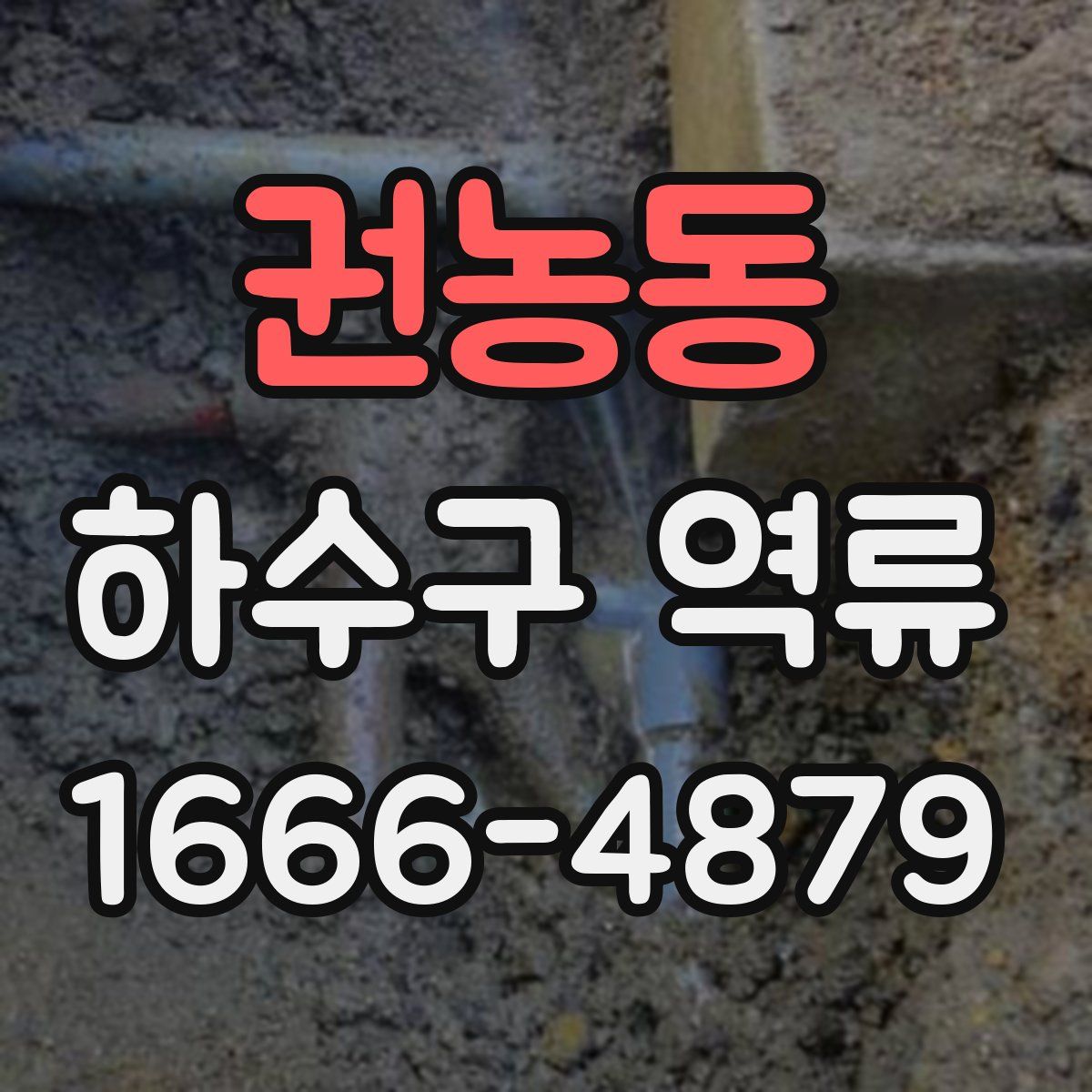 권농동 하수구 역류