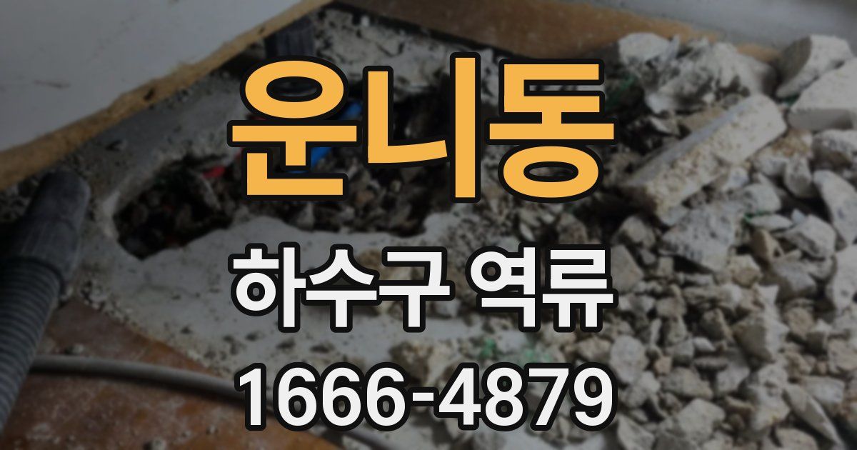 운니동 하수구 역류