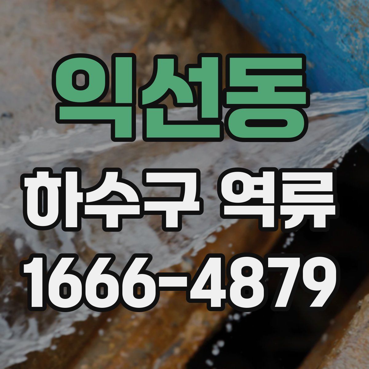 익선동 하수구 역류