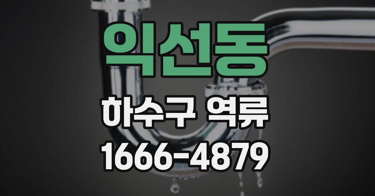 익선동 하수구 역류