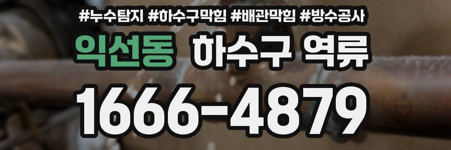 익선동 하수구 역류
