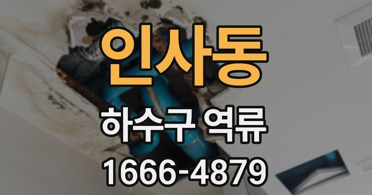 인사동 하수구 역류