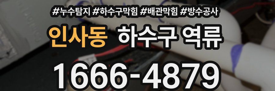 인사동 하수구 역류