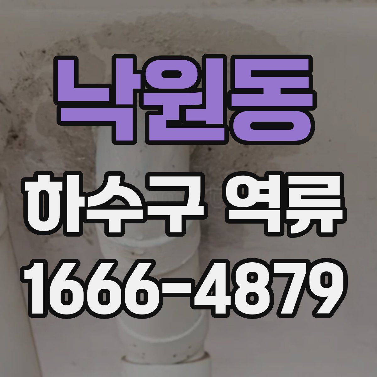낙원동 하수구 역류