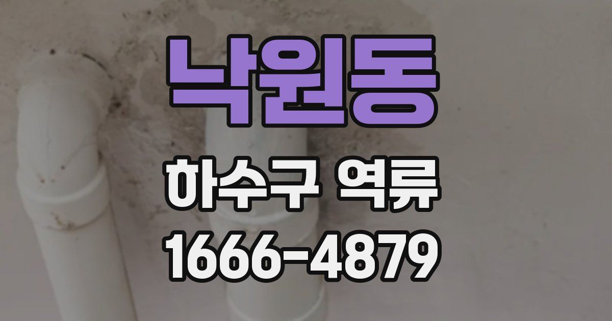 낙원동 하수구 역류