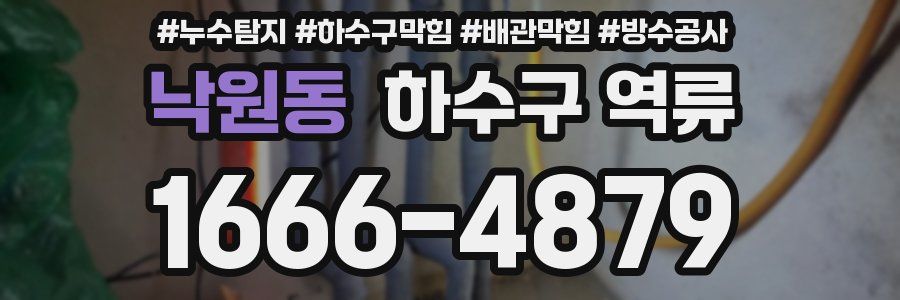 낙원동 하수구 역류