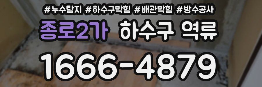 종로2가 하수구 역류