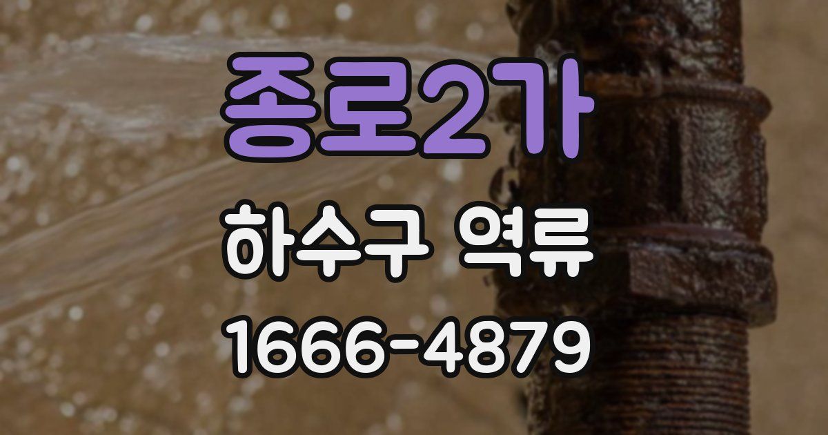 종로2가 하수구 역류
