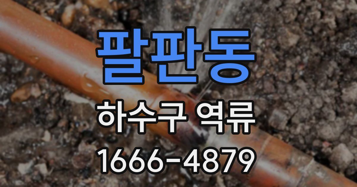 팔판동 하수구 역류