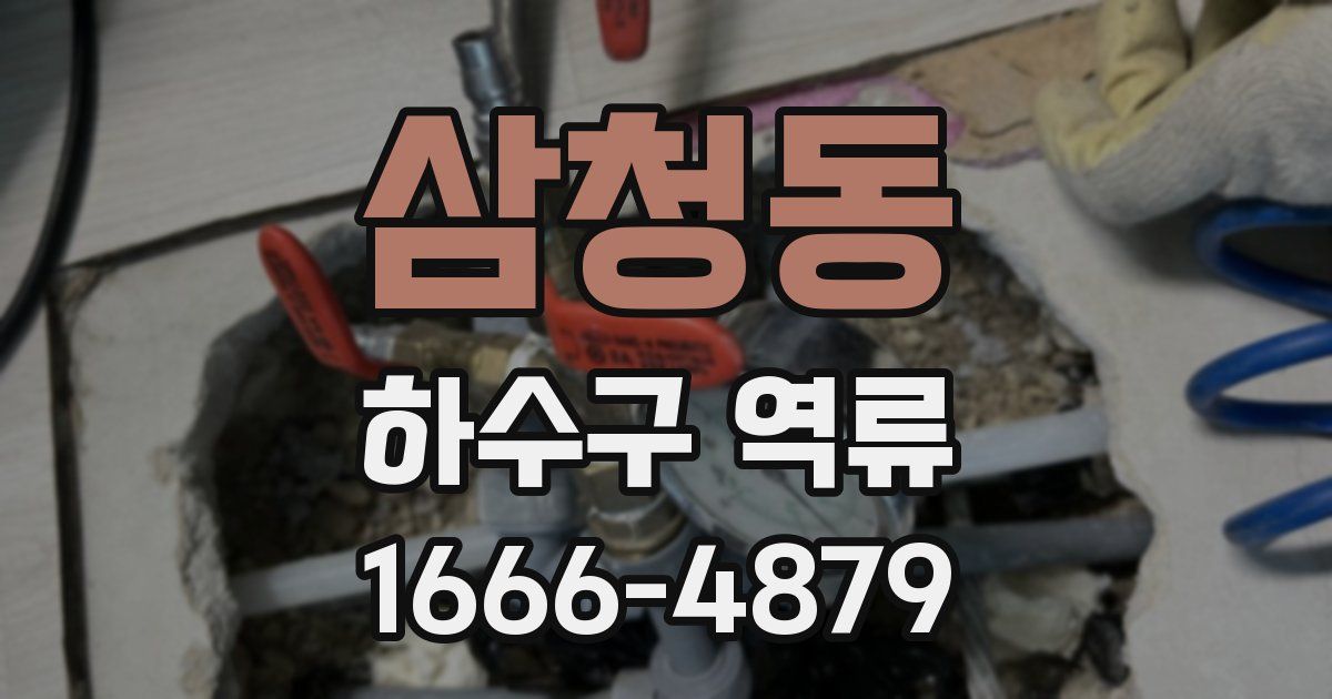 삼청동 하수구 역류