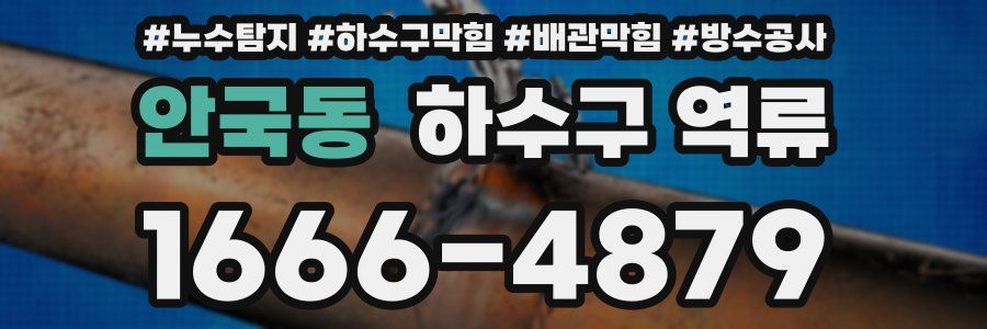 안국동 하수구 역류