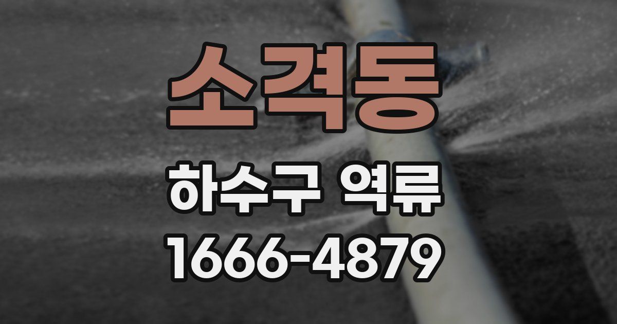 소격동 하수구 역류