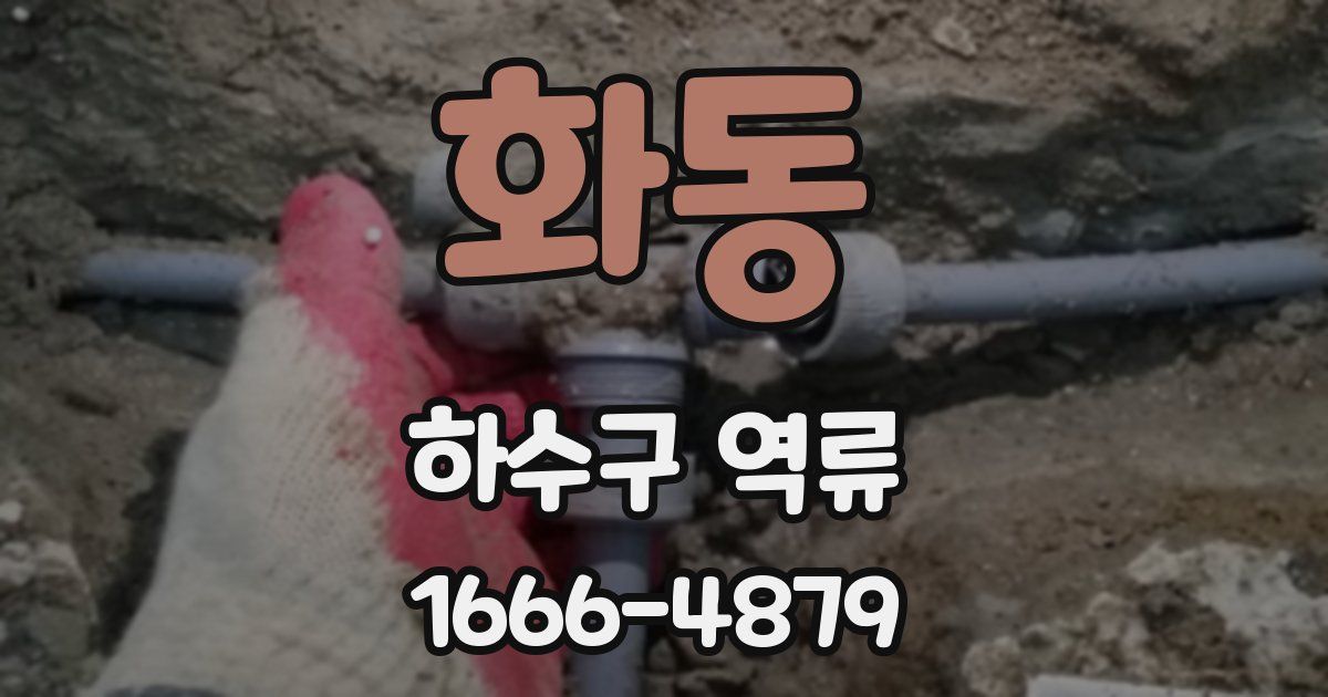 화동 하수구 역류